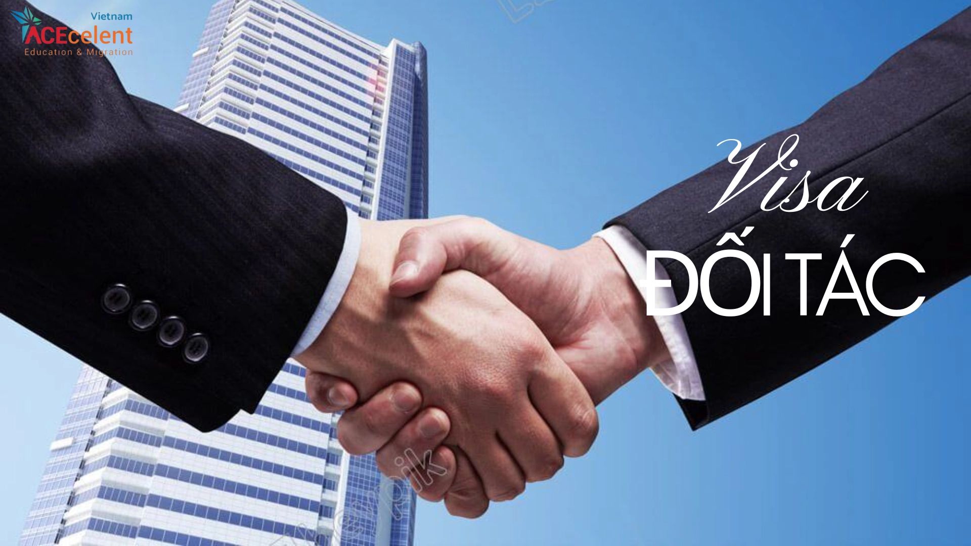 Visa đối tác