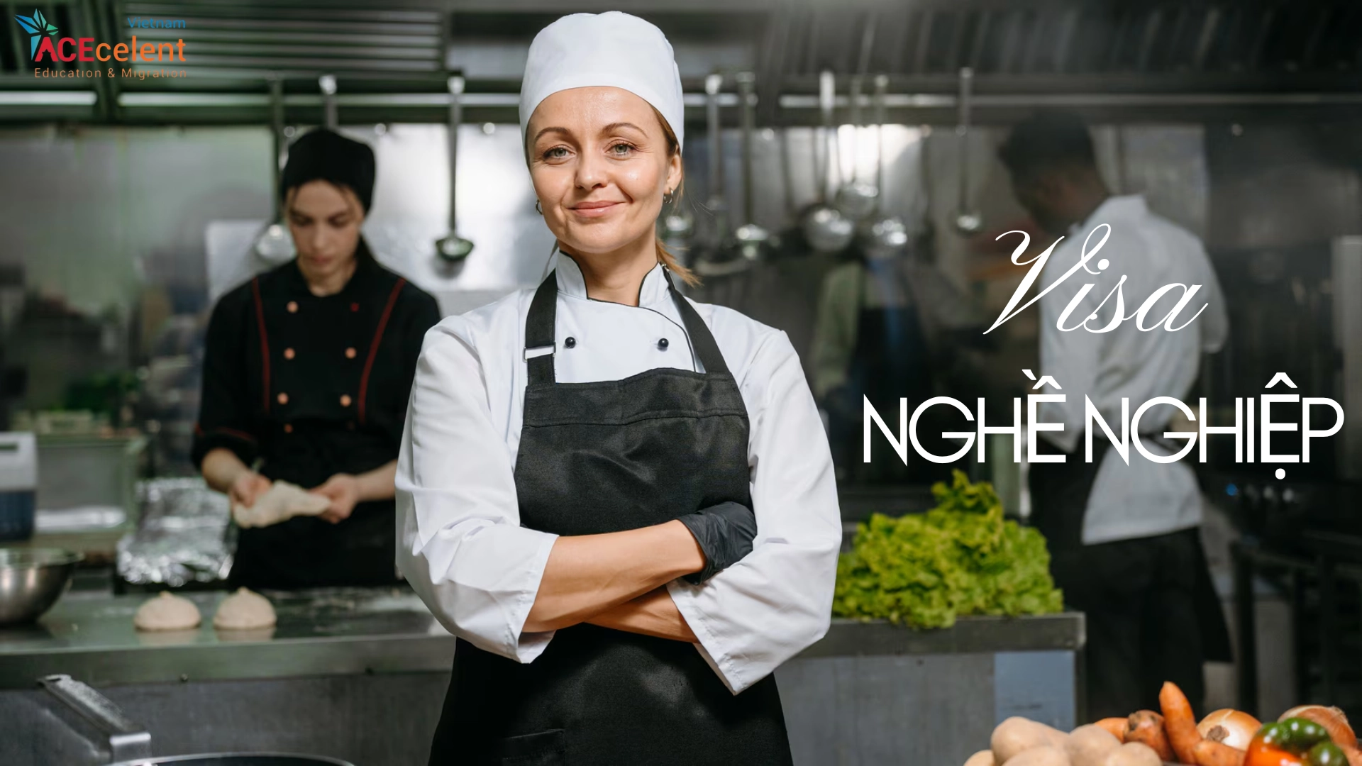 Visa nghề nghiệp